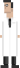 scientist